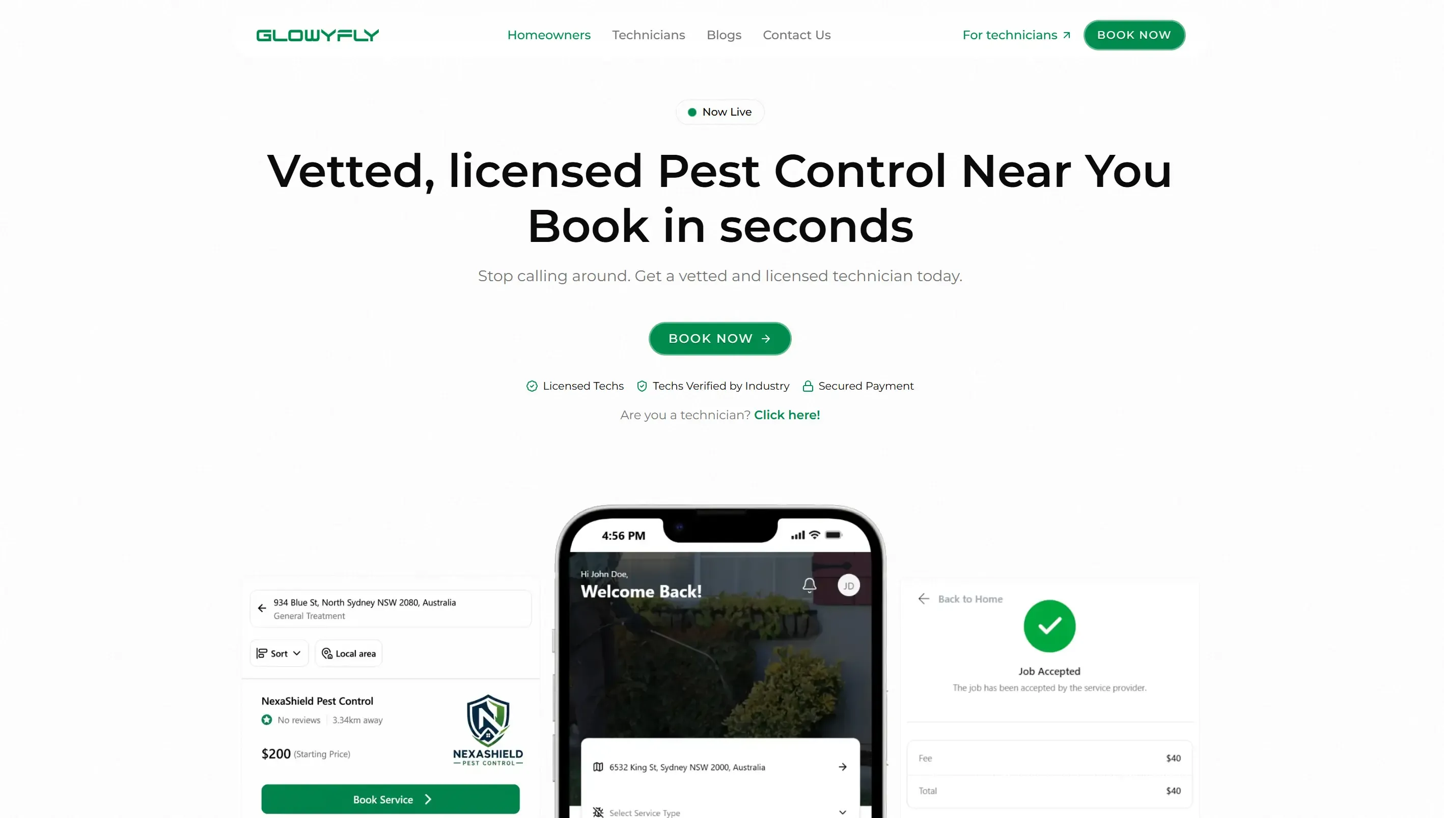 Glowyfly website, 1 of 2