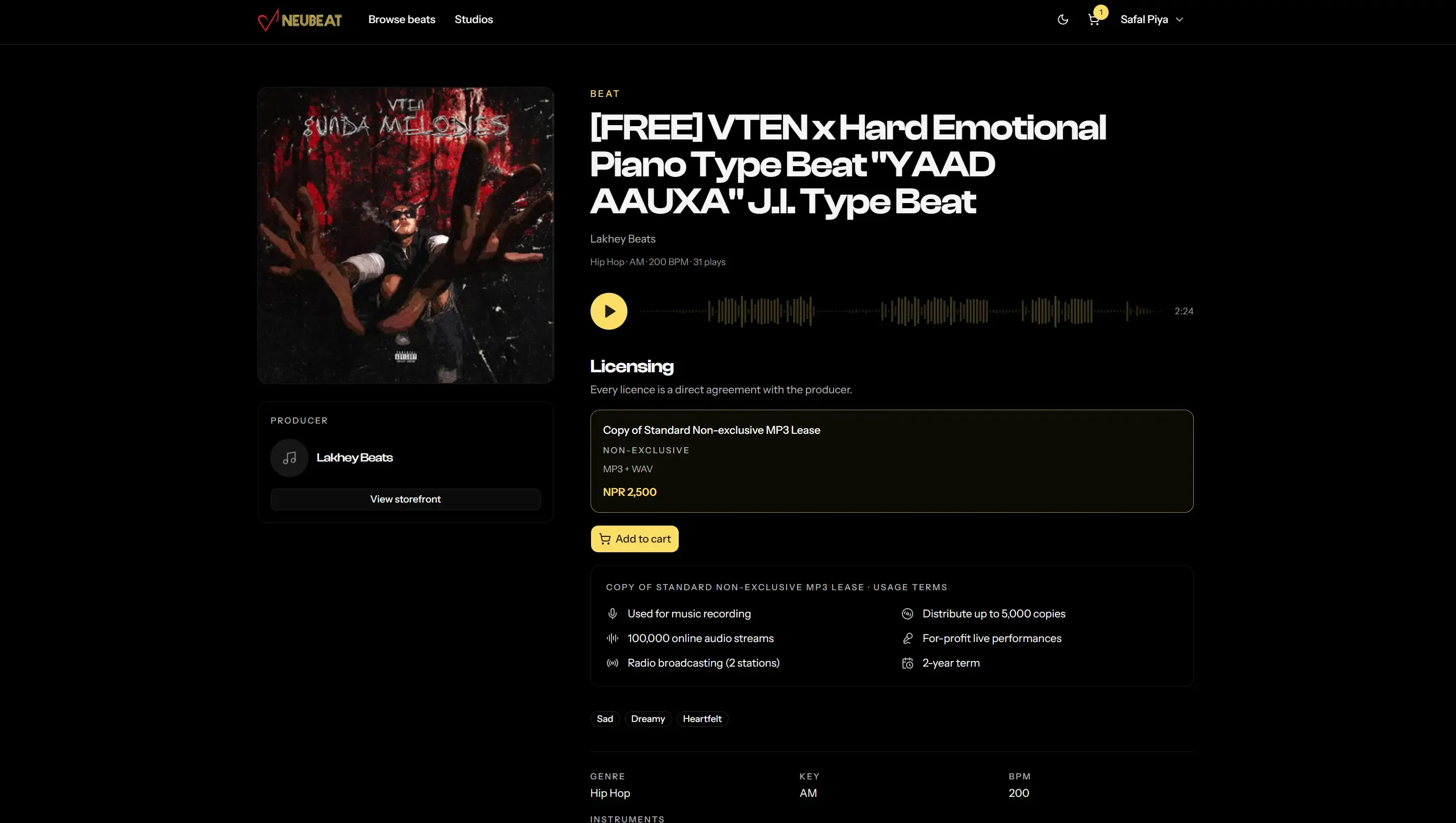 Neubeat website, 2 of 3